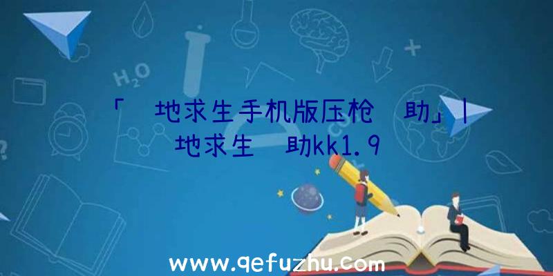 「绝地求生手机版压枪辅助」|绝地求生辅助kk1.9